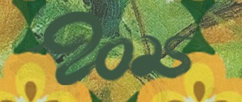 芒种节气丨熏风解愠荷初醒，且收金穗且种星